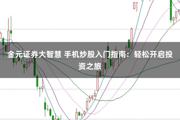 金元证券大智慧 手机炒股入门指南：轻松开启投资之旅