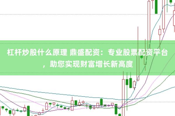 杠杆炒股什么原理 鼎盛配资：专业股票配资平台，助您实现财富增长新高度