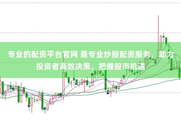 专业的配资平台官网 最专业炒股配资服务，助力投资者高效决策，把握股市机遇