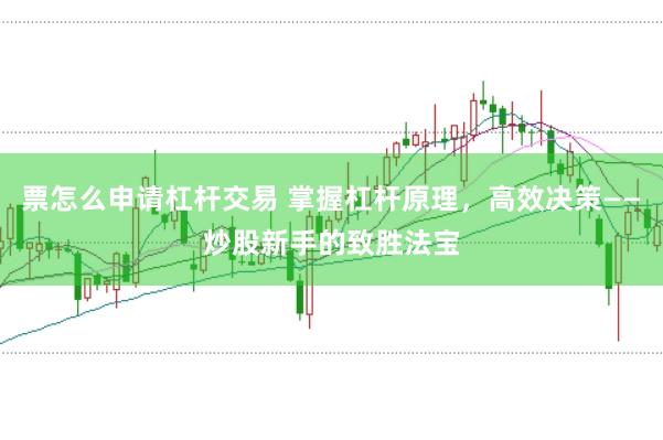 票怎么申请杠杆交易 掌握杠杆原理，高效决策——炒股新手的致胜法宝