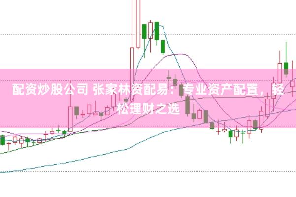 配资炒股公司 张家林资配易：专业资产配置，轻松理财之选