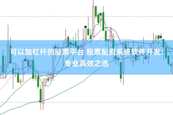 可以加杠杆的股票平台 股票配资系统软件开发：专业高效之选