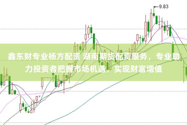 鑫东财专业杨方配资 湖南期货配资服务，专业助力投资者把握市场机遇，实现财富增值