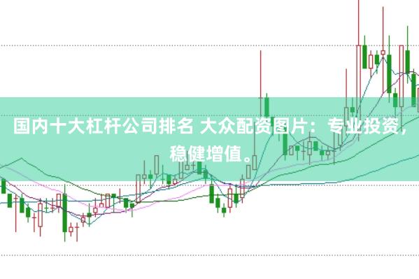 国内十大杠杆公司排名 大众配资图片：专业投资，稳健增值。