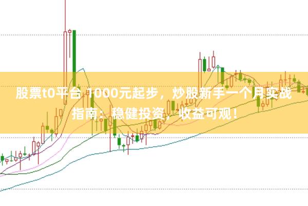股票t0平台 1000元起步，炒股新手一个月实战指南：稳健投资，收益可观！