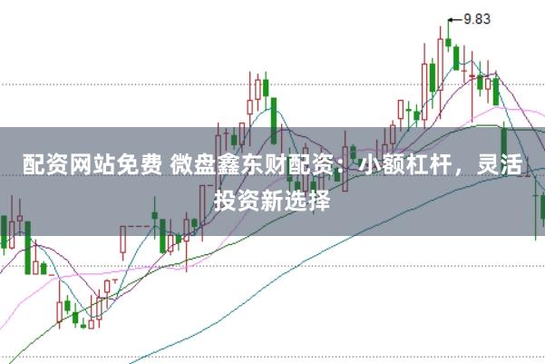 配资网站免费 微盘鑫东财配资：小额杠杆，灵活投资新选择