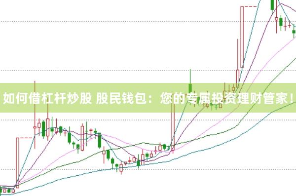 如何借杠杆炒股 股民钱包：您的专属投资理财管家！