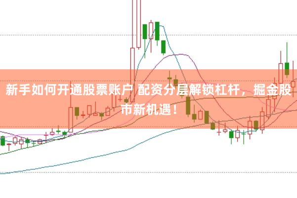 新手如何开通股票账户 配资分层解锁杠杆，掘金股市新机遇！