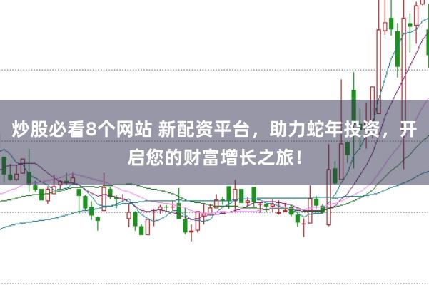 炒股必看8个网站 新配资平台，助力蛇年投资，开启您的财富增长之旅！