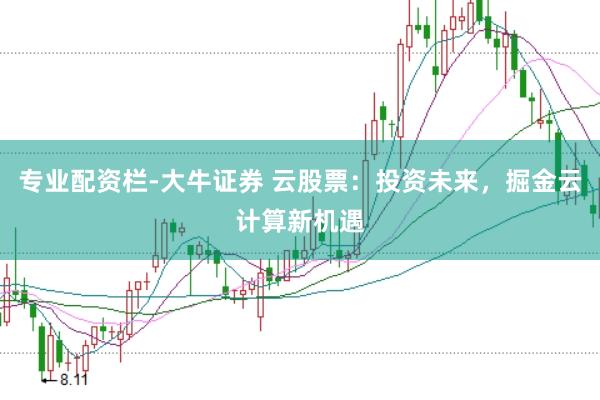 专业配资栏-大牛证券 云股票：投资未来，掘金云计算新机遇