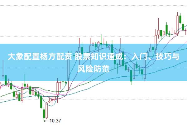 大象配置杨方配资 股票知识速成：入门、技巧与风险防范