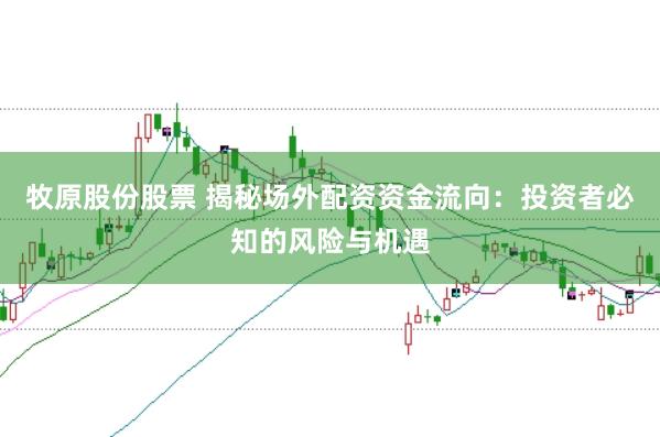 牧原股份股票 揭秘场外配资资金流向：投资者必知的风险与机遇