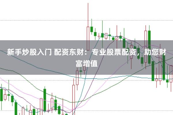 新手炒股入门 配资东财：专业股票配资，助您财富增值