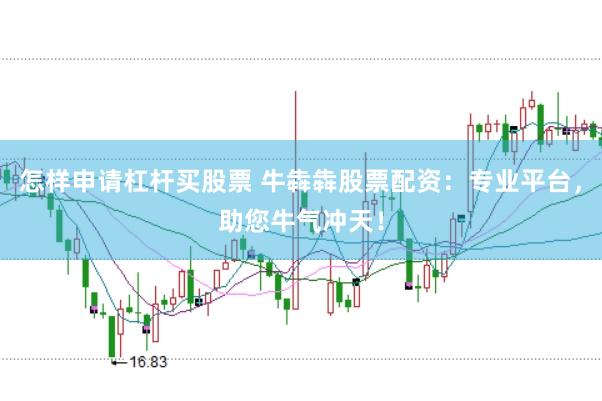 怎样申请杠杆买股票 牛犇犇股票配资：专业平台，助您牛气冲天！