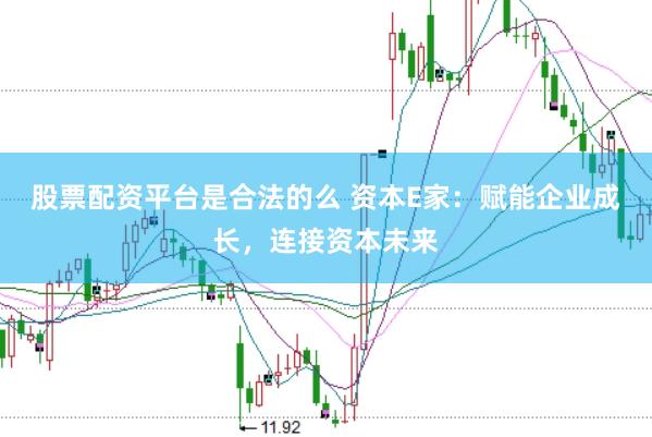股票配资平台是合法的么 资本E家：赋能企业成长，连接资本未来