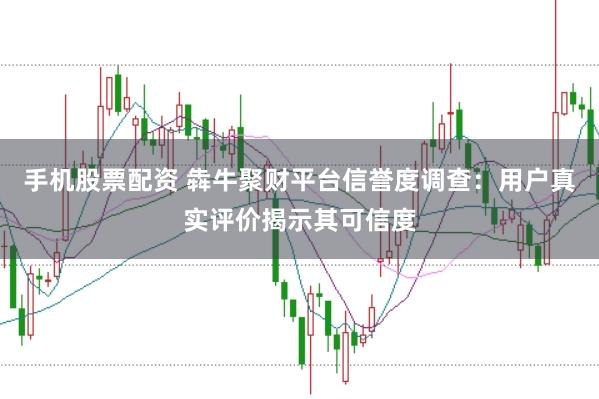 手机股票配资 犇牛聚财平台信誉度调查：用户真实评价揭示其可信度