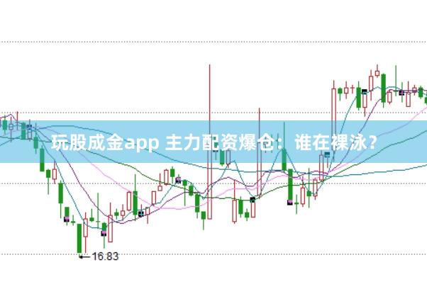玩股成金app 主力配资爆仓：谁在裸泳？