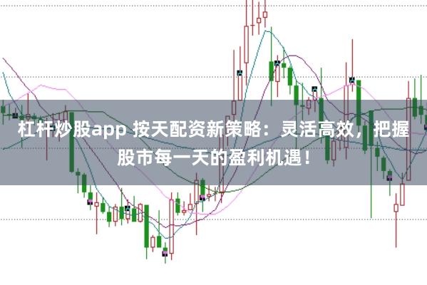 杠杆炒股app 按天配资新策略：灵活高效，把握股市每一天的盈利机遇！