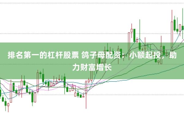 排名第一的杠杆股票 鸽子母配资：小额起投，助力财富增长