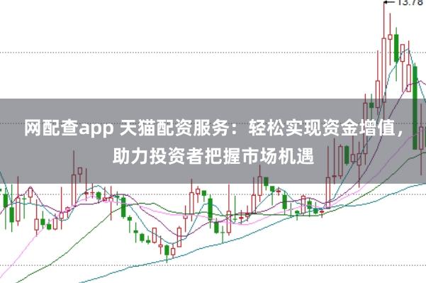 网配查app 天猫配资服务：轻松实现资金增值，助力投资者把握市场机遇