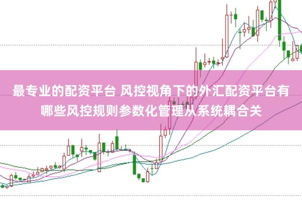 最专业的配资平台 风控视角下的外汇配资平台有哪些风控规则参数化管理从系统耦合关