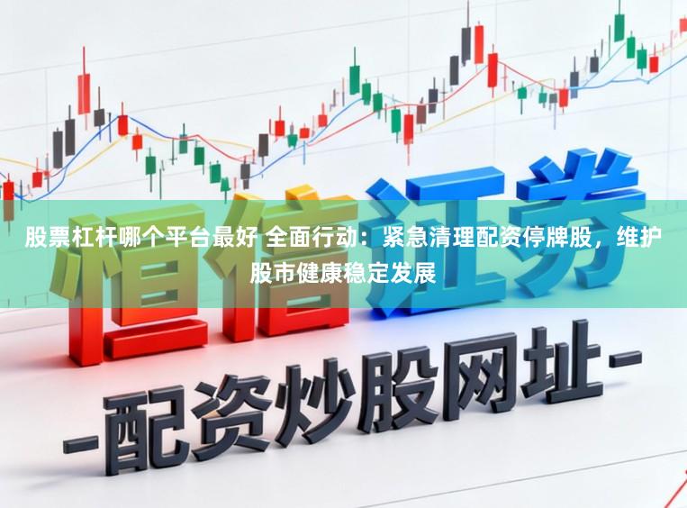 股票杠杆哪个平台最好 全面行动：紧急清理配资停牌股，维护股市健康稳定发展